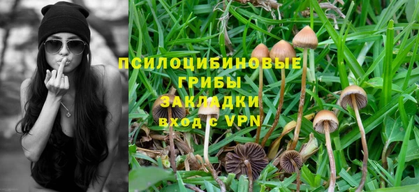 бошки Осинники