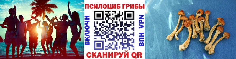 Галлюциногенные грибы мицелий  как найти закладки  Губаха 